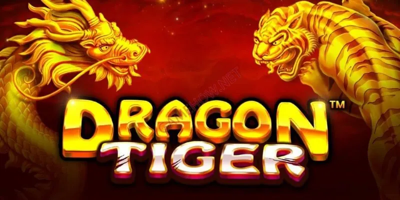Hướng Dẫn Cách Chơi Rồng Hổ Hiệu Quả Dành Cho Game Thủ Cách chơi Rồng Hổ bằng chiến thuật bảo toàn nguồn vốn